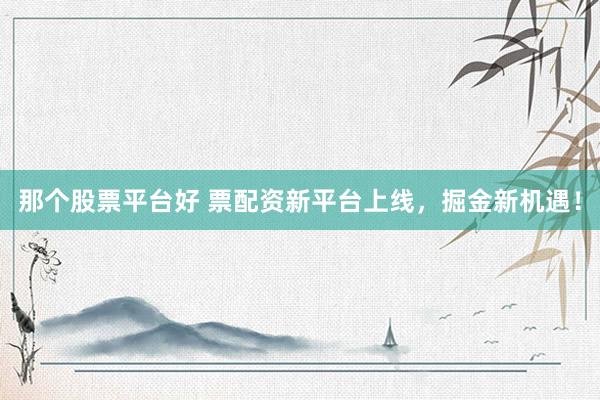 那个股票平台好 票配资新平台上线，掘金新机遇！
