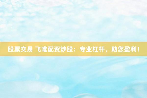 股票交易 飞唯配资炒股：专业杠杆，助您盈利！