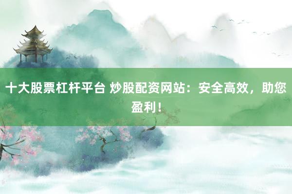 十大股票杠杆平台 炒股配资网站：安全高效，助您盈利！