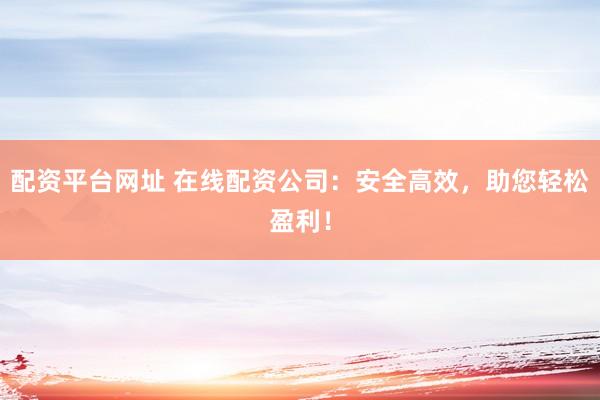 配资平台网址 在线配资公司：安全高效，助您轻松盈利！