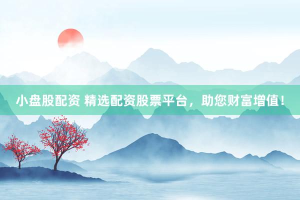 小盘股配资 精选配资股票平台，助您财富增值！