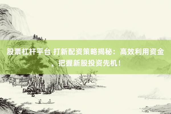股票杠杆平台 打新配资策略揭秘：高效利用资金，把握新股投资先机！