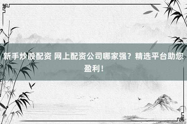 新手炒股配资 网上配资公司哪家强？精选平台助您盈利！
