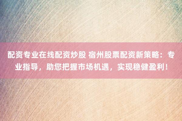 配资专业在线配资炒股 宿州股票配资新策略：专业指导，助您把握市场机遇，实现稳健盈利！