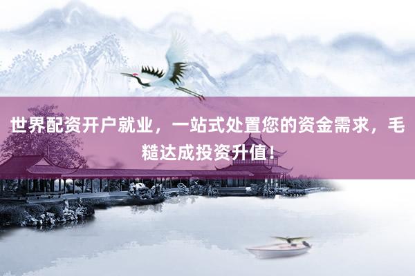 世界配资开户就业，一站式处置您的资金需求，毛糙达成投资升值！