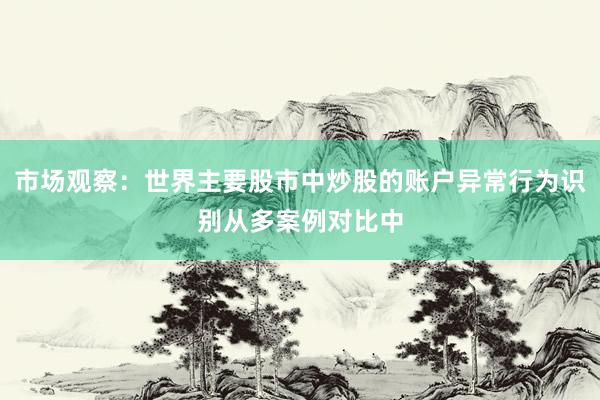 市场观察：世界主要股市中炒股的账户异常行为识别从多案例对比中