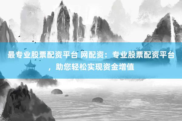 最专业股票配资平台 网配资:专业股票配资平台,助您轻松实现资金增值